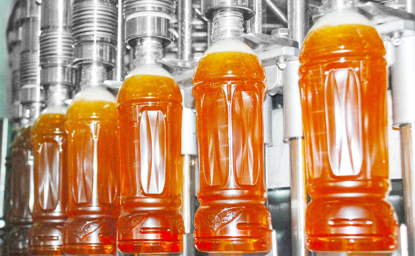 jpg100-t3-scale100 (3)